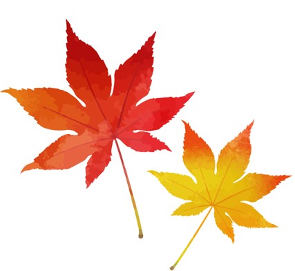 紅葉するのってどんな木?今月のタイピングに「紅葉」「雲の種類」コース追加しました。の記事に関する画像